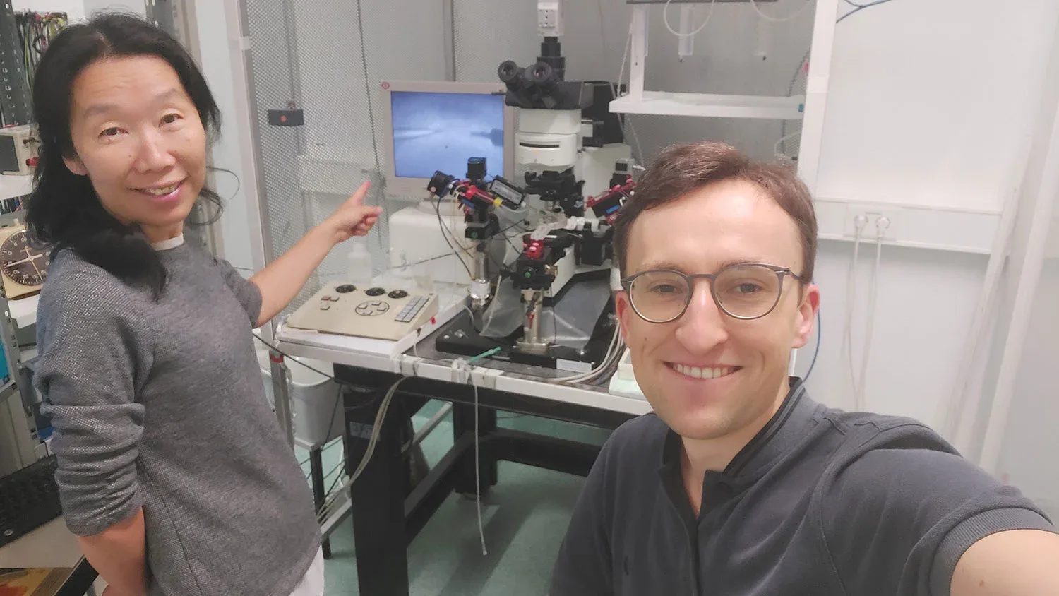 Wissenschaftler:innen entdecken neue Methode zum Einfrieren und Wiederbeleben von lebendem Hirngewebe