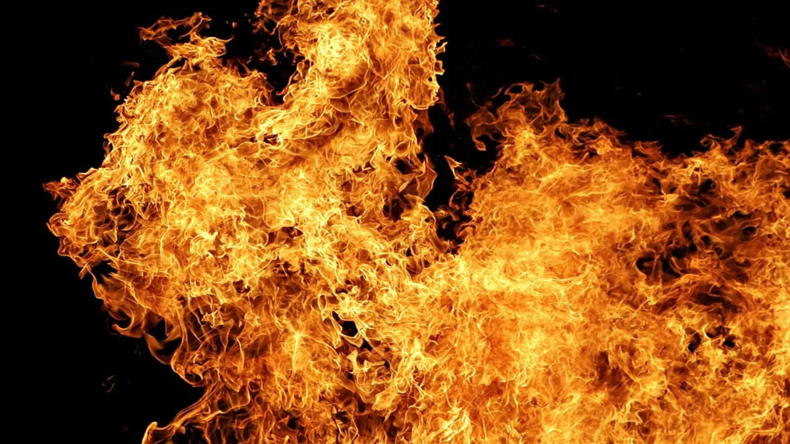 New study finds hominids used fire 700,000 years earlier than thought