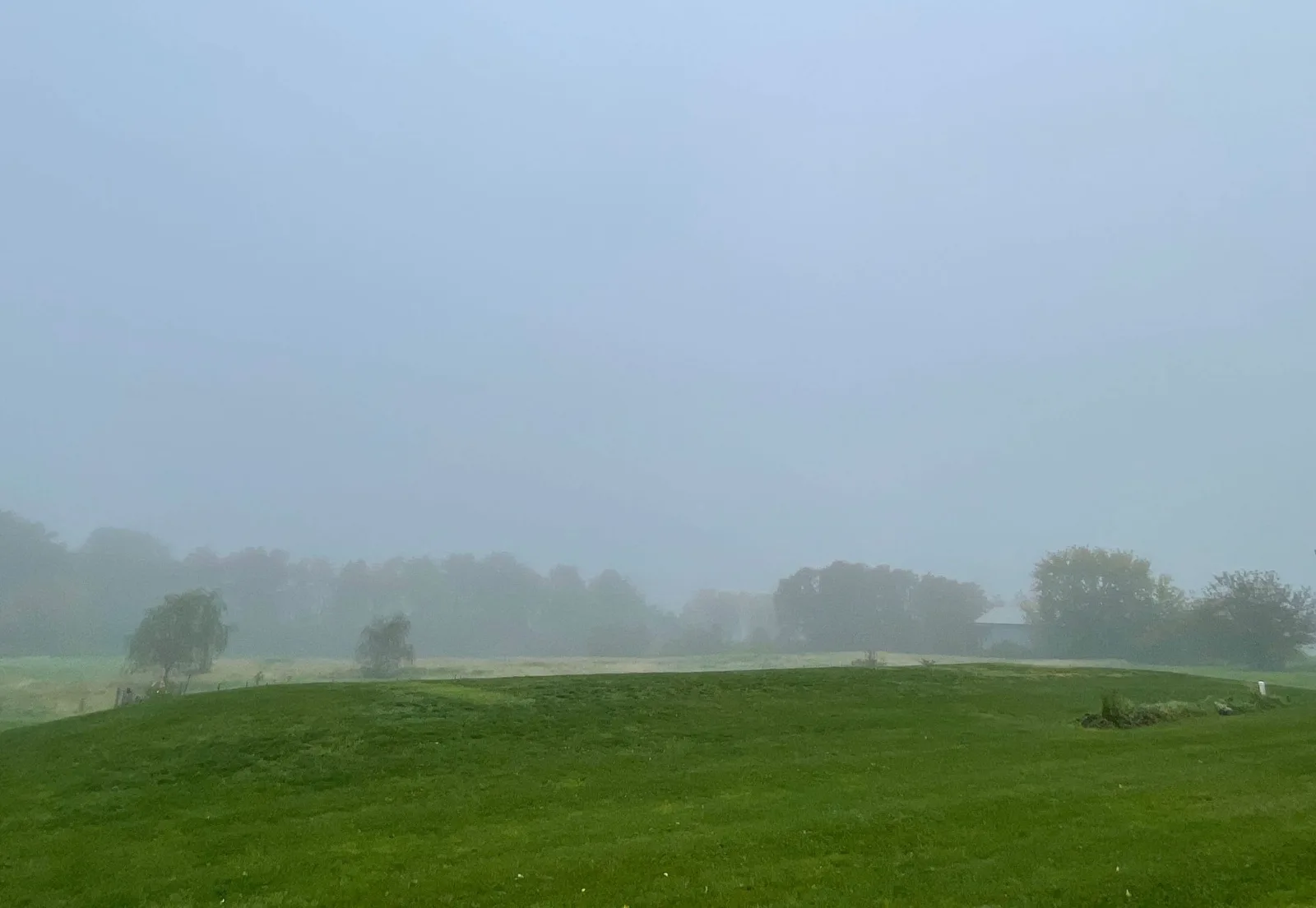 Lebendiger Nebel: Überraschende Entdeckung revolutioniert das Wissen über Nebel