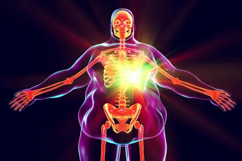 Your Immune System Remembers Obesity for up to a Decade, Study Finds