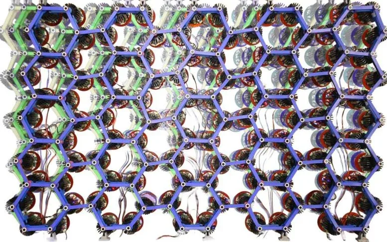 Scientists Create “Living” Materials That Crawl, Walk, and Dig on Their Own