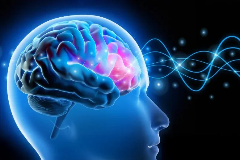 New Brain “Bypass” Technology Could Transform Treatment for Neurological Disorders
