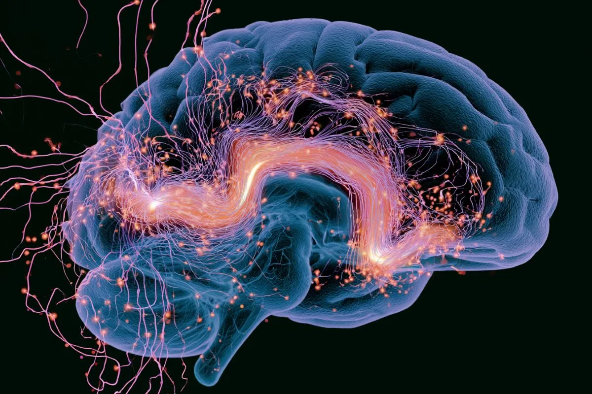 Hypothalamic Histamine Waves Open and Close Memory Access
