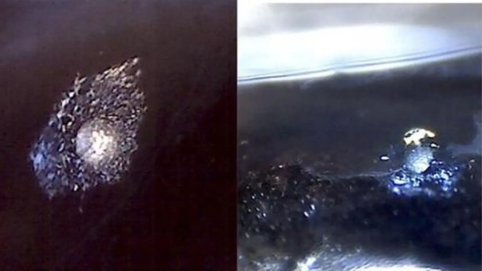 Deep-sea fish's light-scattering crystals could inspire new biomedical devices