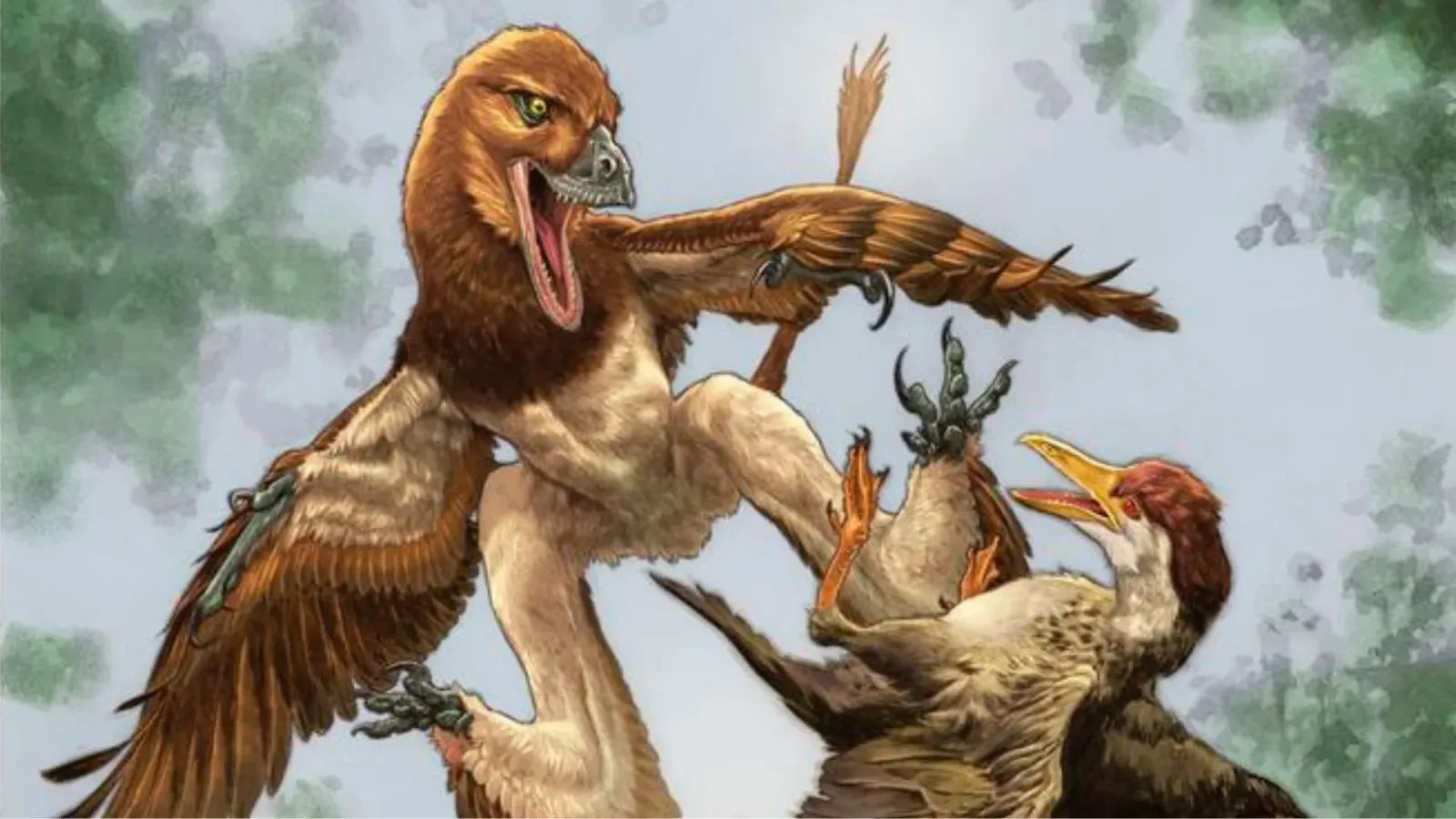 New species of four-winged, predatory dinosaur found in China