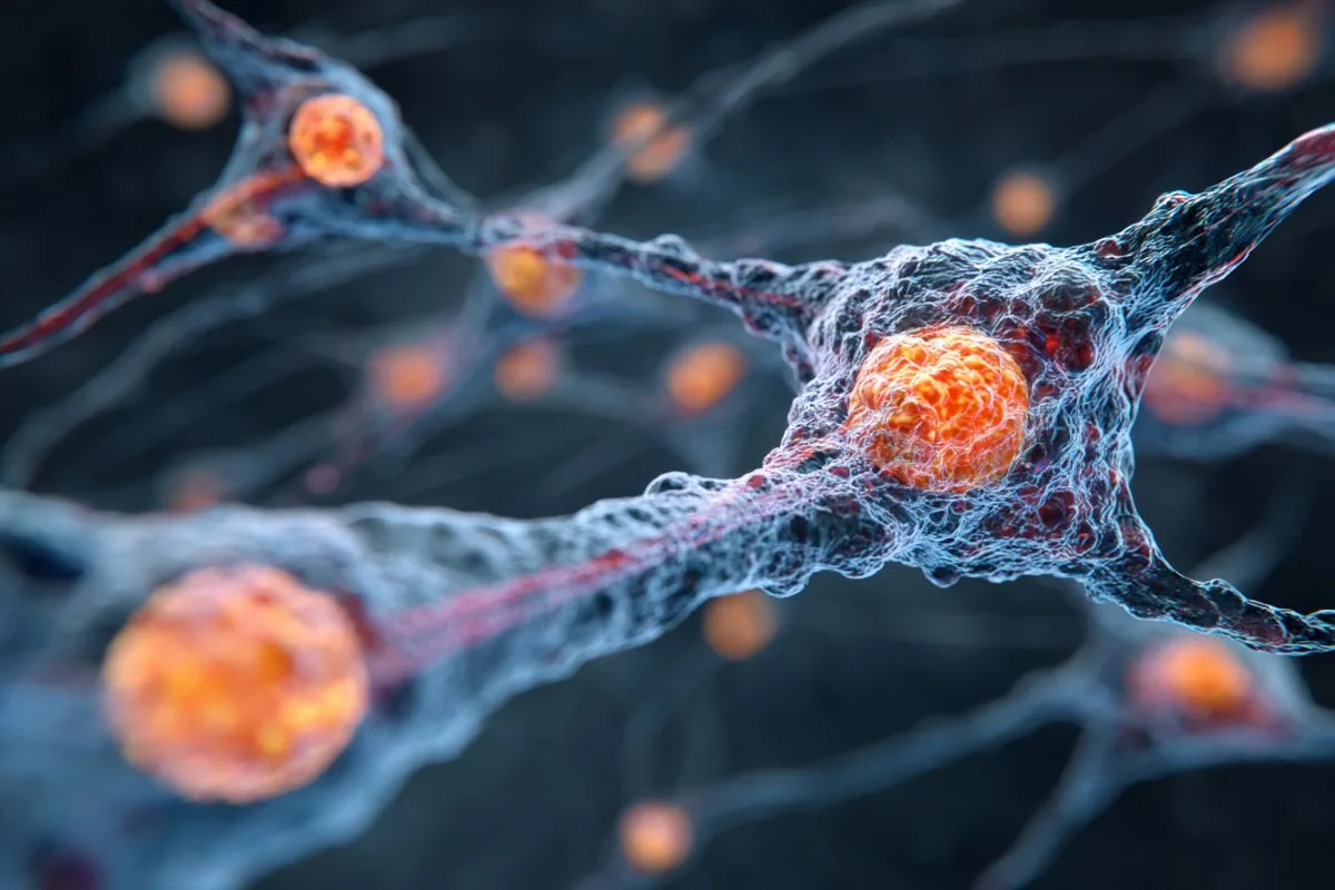 Study Maps Brain Immune Cells to Block Melanoma Metastasis