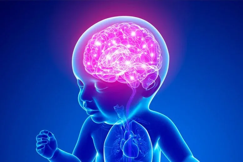 Scientists Discover “Good” Gut Microbes That Could Protect Against Autism and ADHD