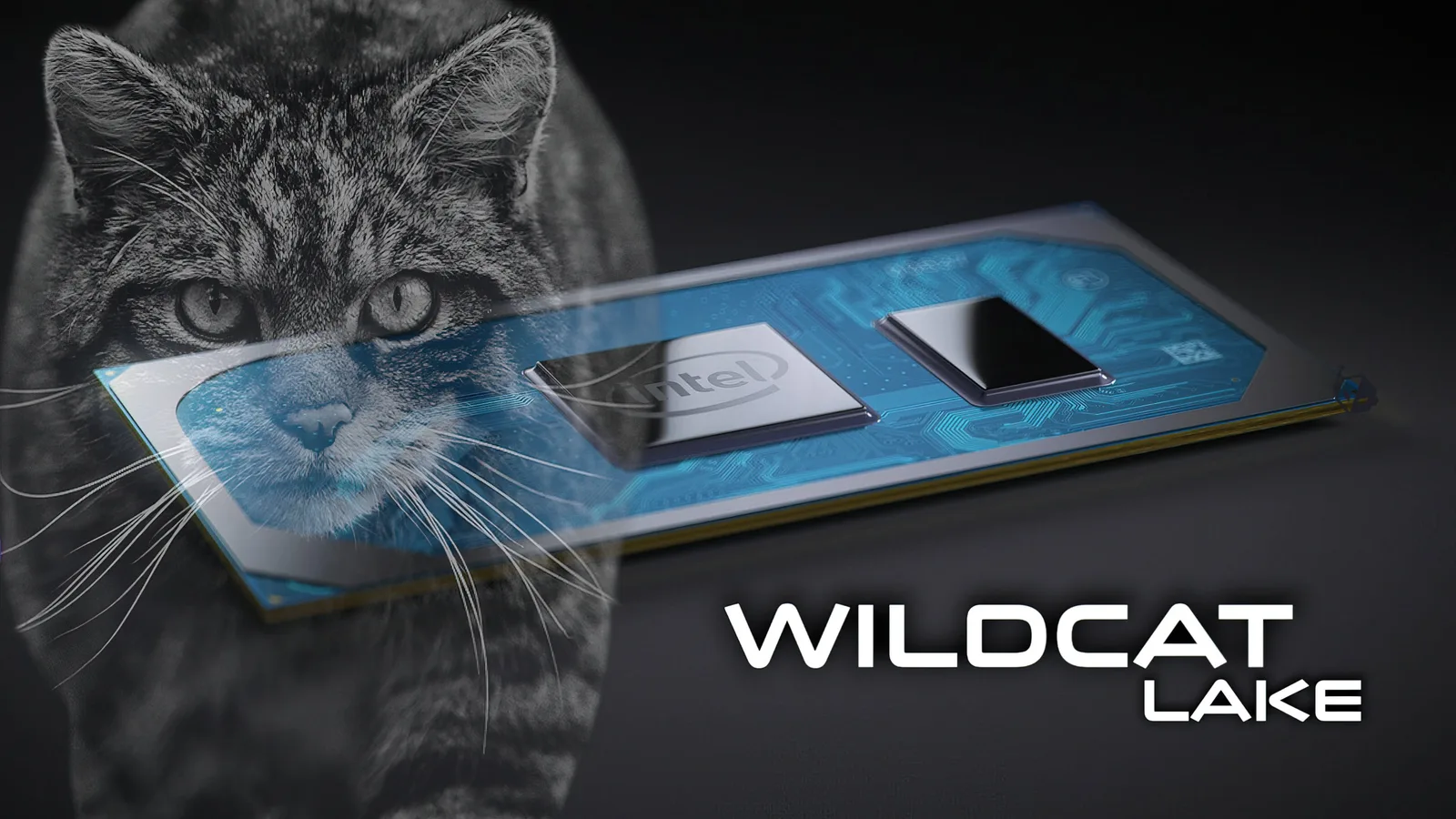 Intel Arc G3, neue Xeon-Generation und Nova Lake: Was wir von Intel auf der Computex 2026 erwarten