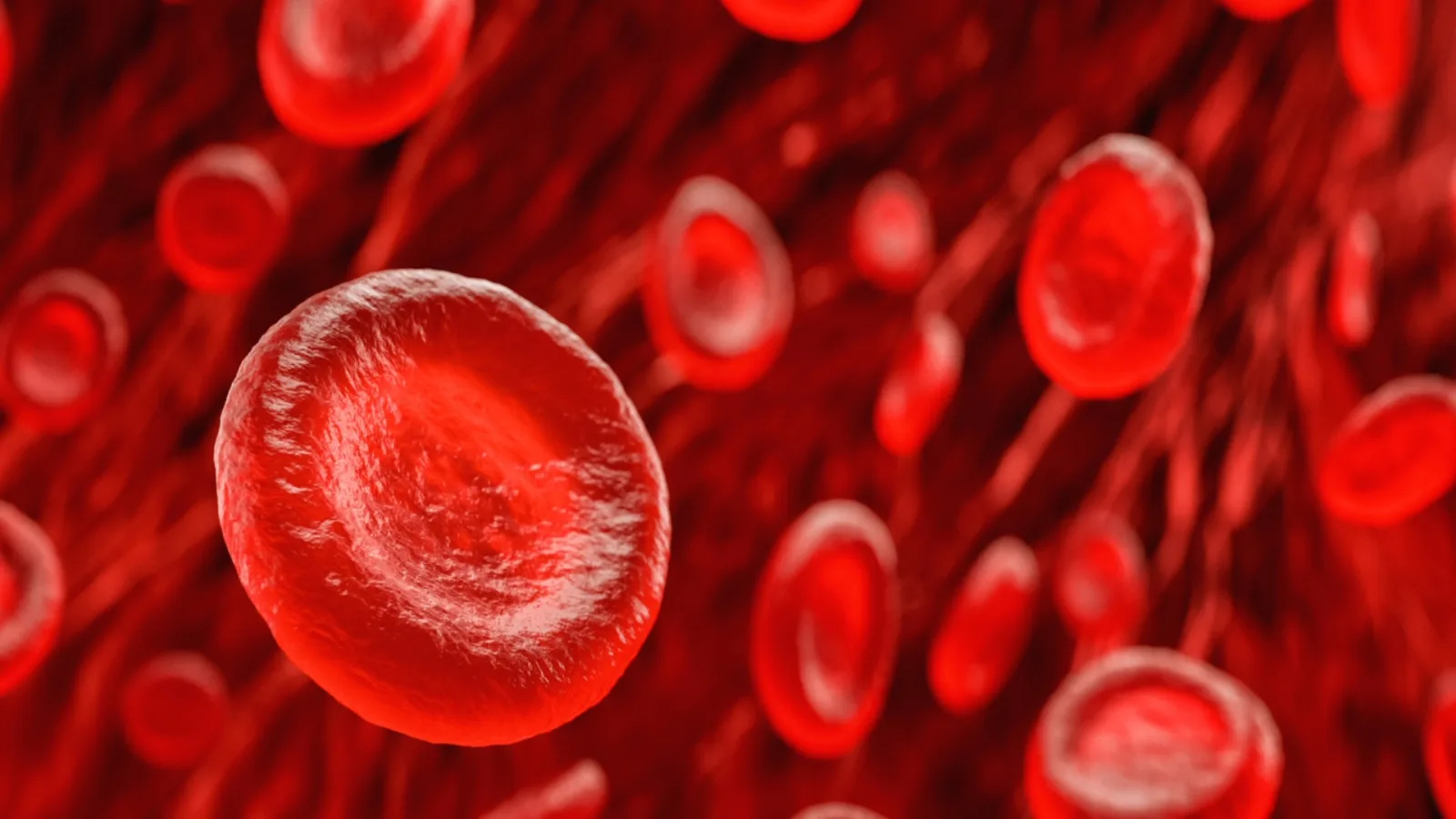 Study reveals the evolution of the most ancient human blood cell
