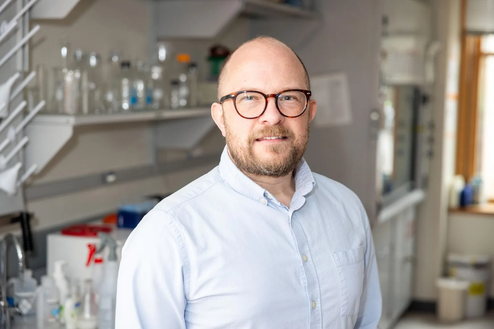 Wissenschaftler entdecken in der menschlichen DNA verborgene „Sprachschalter" der Evolution