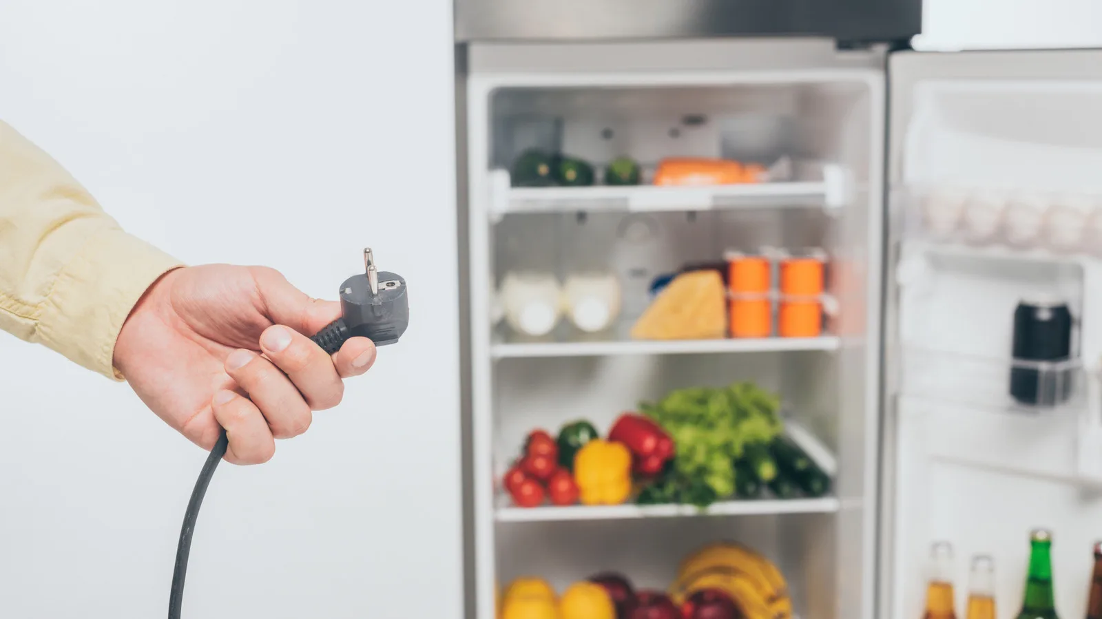 Not 24 Hours: How Long Should You Wait Before Plugging In A Refrigerator?