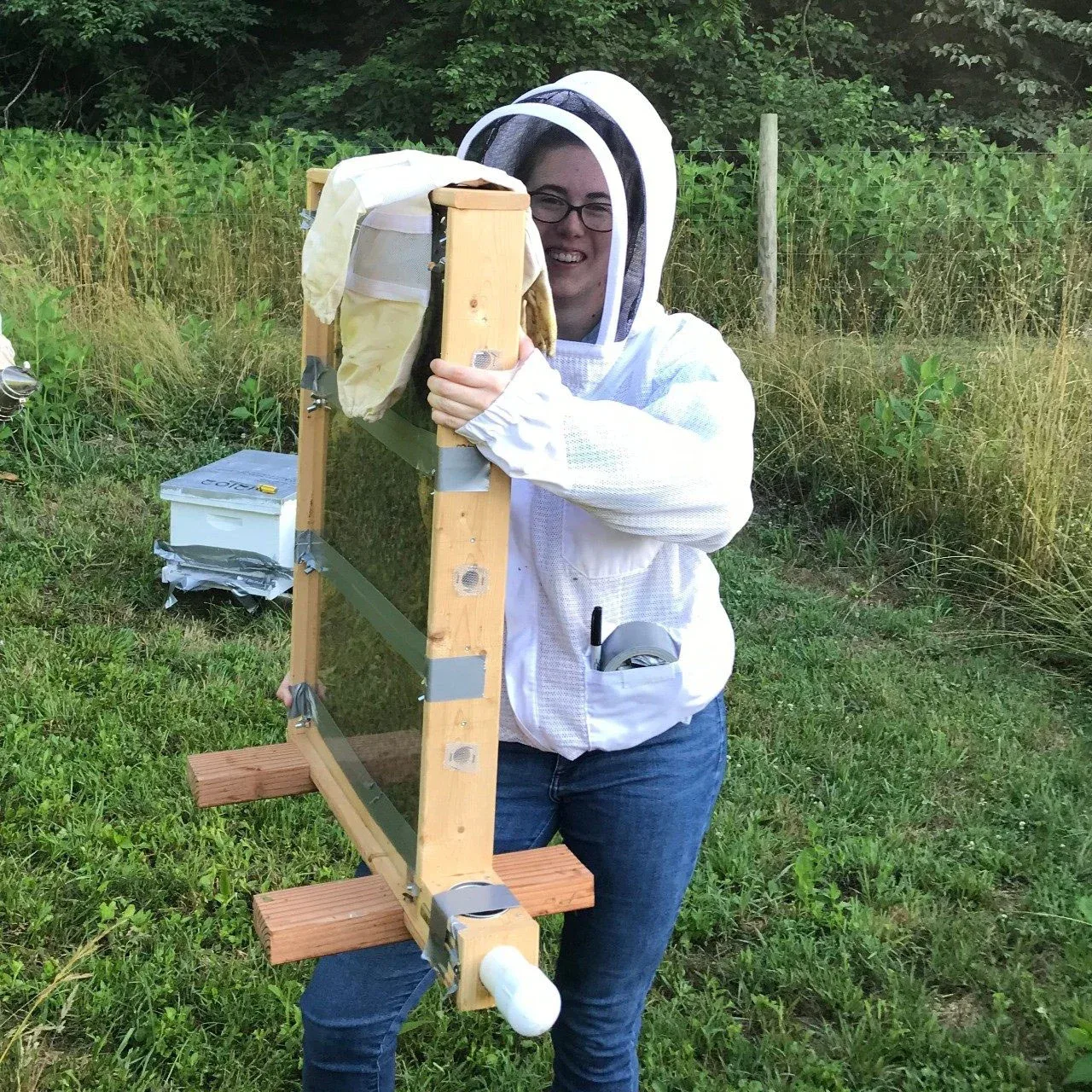 Weltweit meistgenutztes Unkrautgift stört Bienenhirn