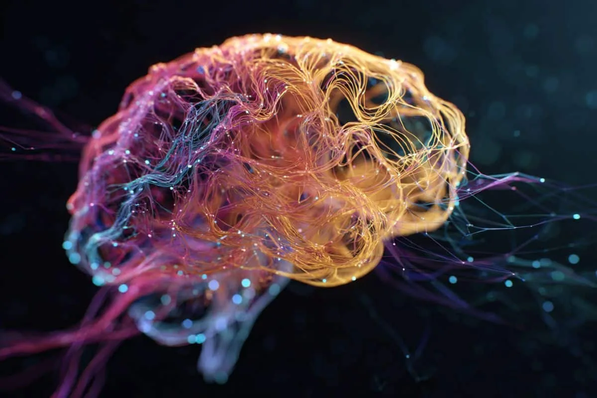 Single Brain Connection Pinpointed as the Starting Point of Learning