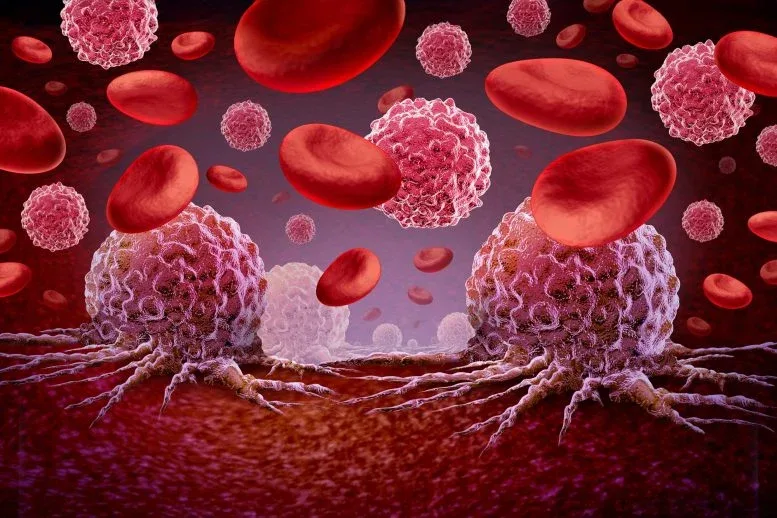 Scientists Rewire Donor Stem Cells To Outsmart Aggressive Blood Cancers