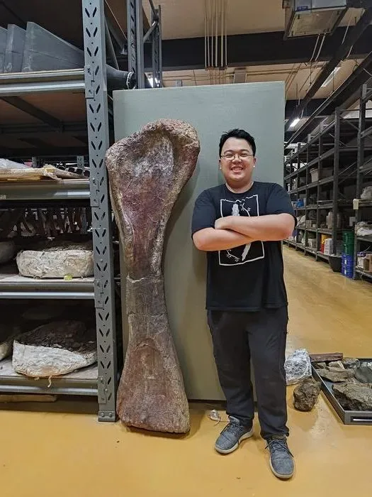 Last Titan": Entdeckung des bisher größten Dinosauriers in Südostasien