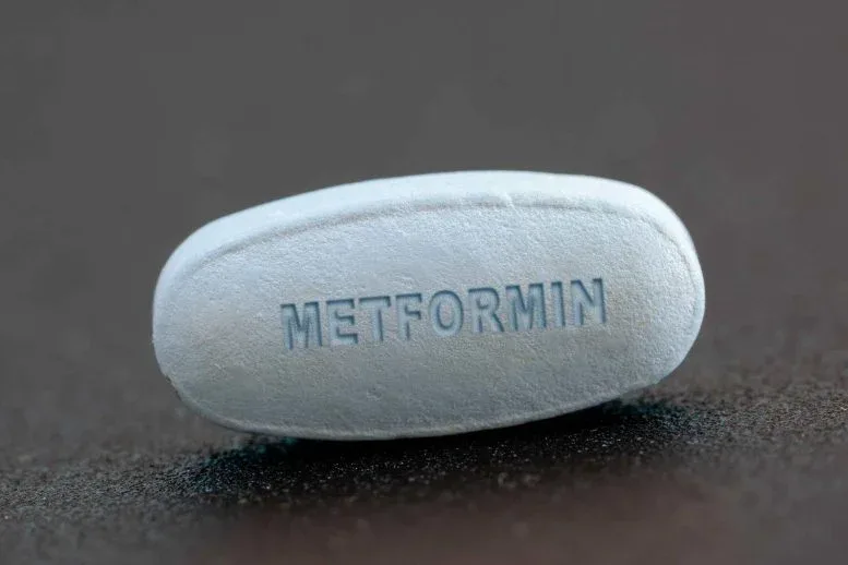 Scientists Discover Metformin Doesn’t Work the Way We Thought