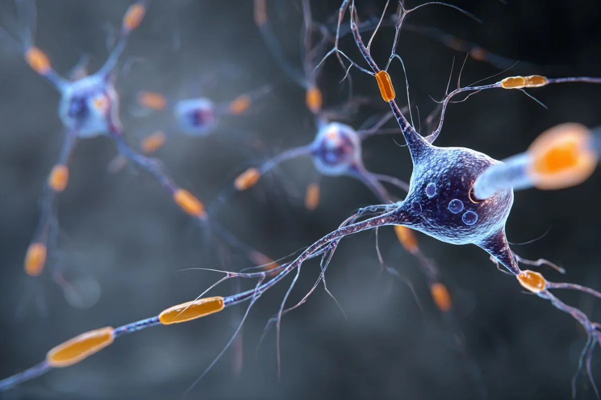 Blood Proteins Identified That Predict Multiple Sclerosis Early
