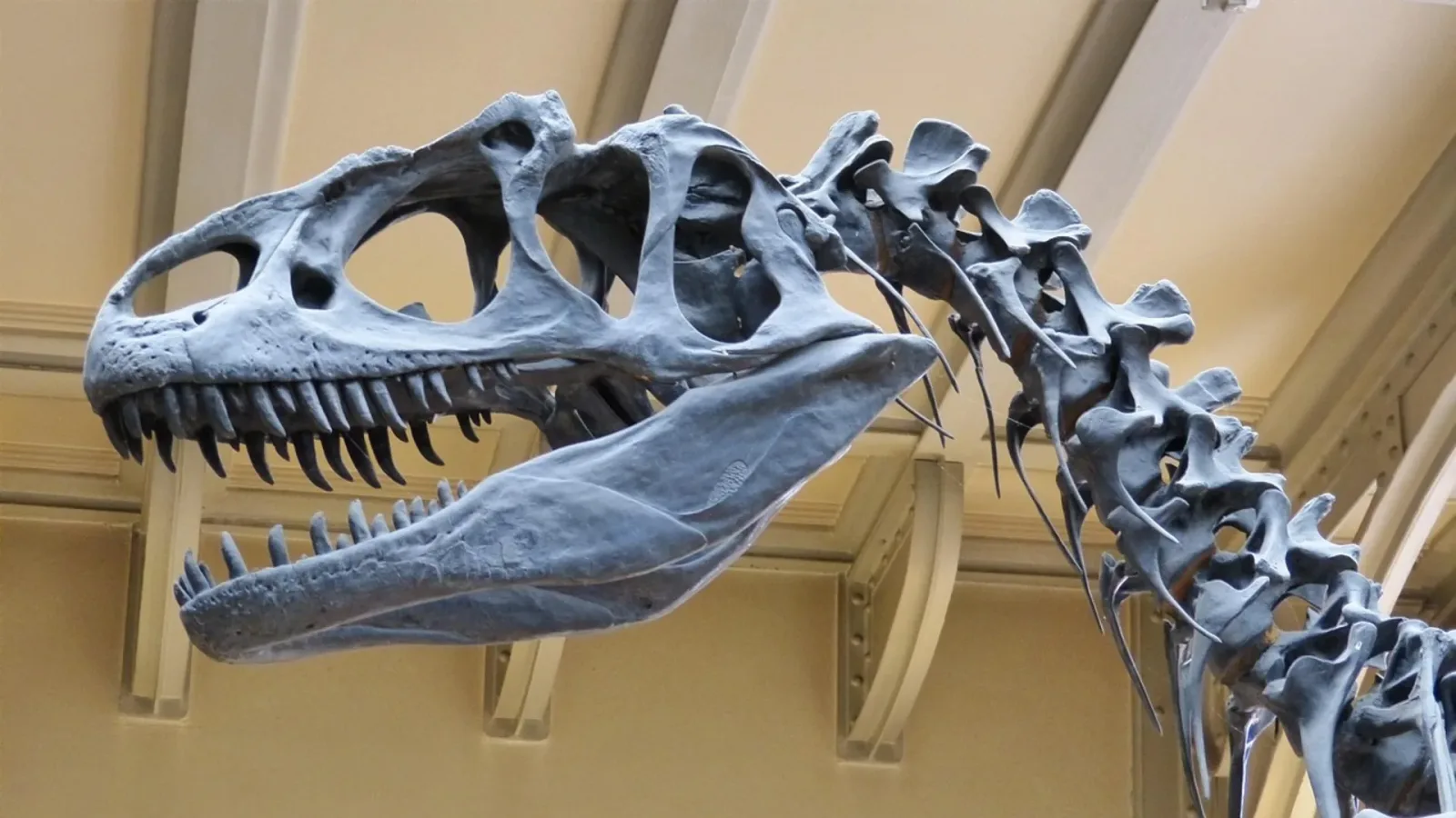 Dinosaurier entstanden vor 10 Millionen Jahren früher als bisher angenommen: Eine Studie