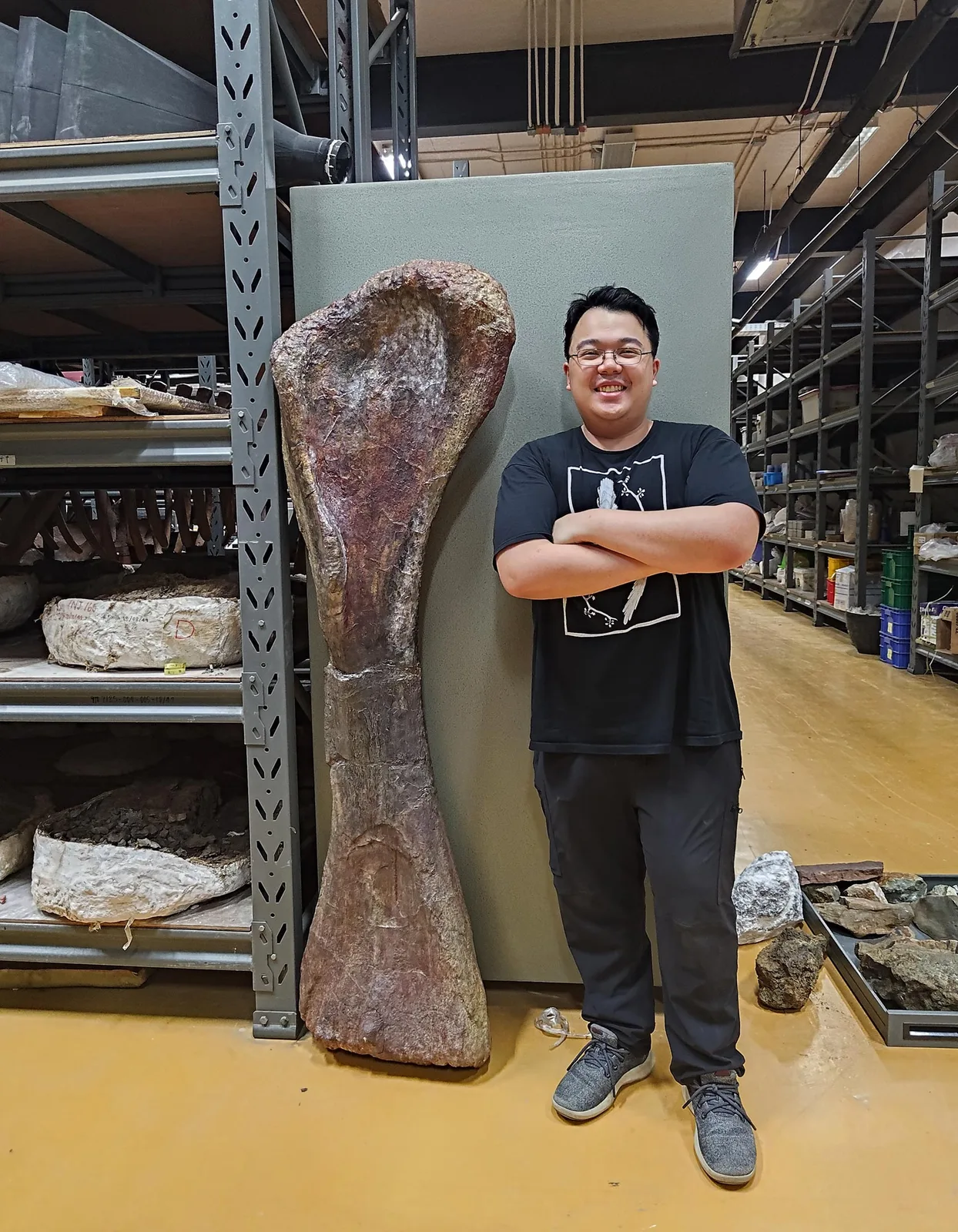 Neuentdeckter Riesen-Dinosaurier „Last Titan" in Thailand: Größer als neun Elefanten