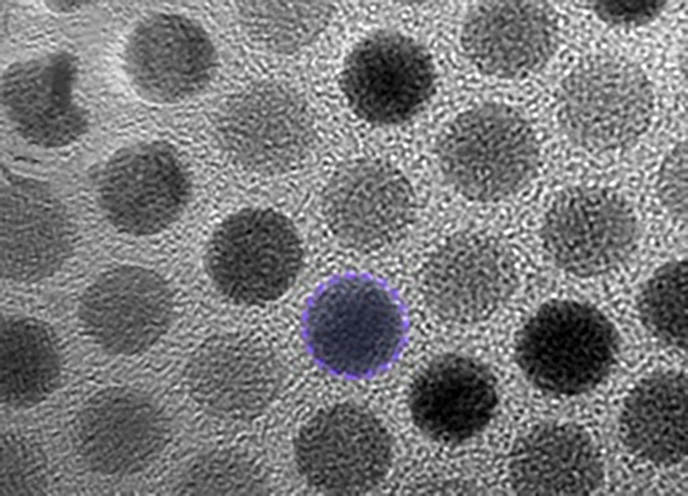 Nach Jahrzehnten der Vorhersage: Physiker erfassen erstmals die verborgene Phase der Materie