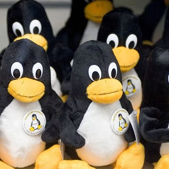 Kalifornien will Linux von der Altersverpflichtung ausnehmen; nderungsantrag stammt vom ursprnglichen Gesetzgeber