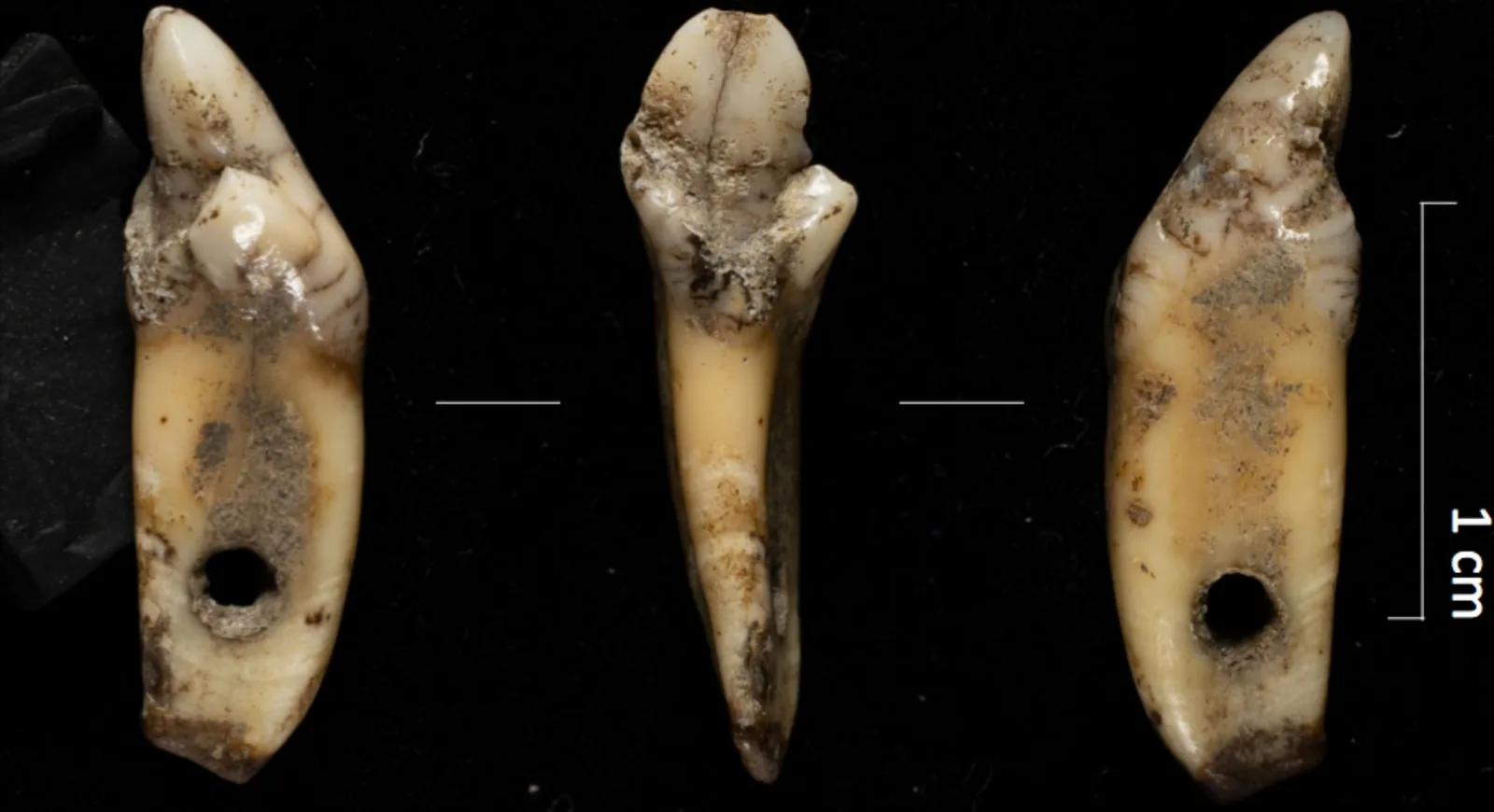 Archäologen entdecken prähistorische Höhle voller mysteriösen grünen Minerals
