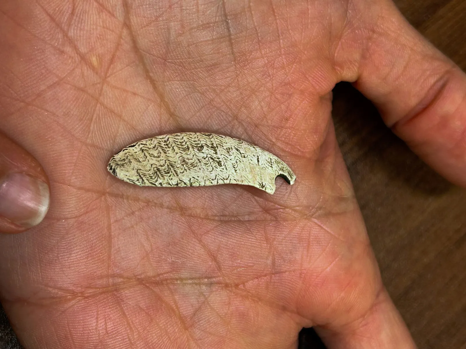 Archäologen entdecken prähistorische Höhle voller mysteriösen grünen Minerals