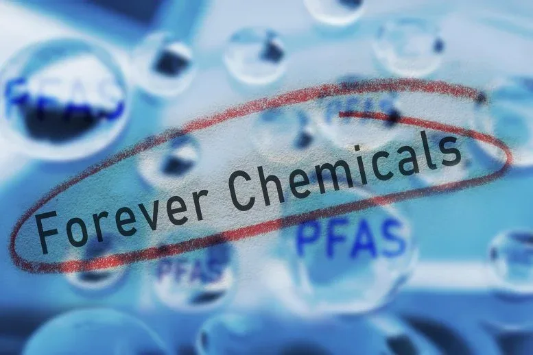Scientists Just Found a Surprising Way To Destroy “Forever Chemicals”