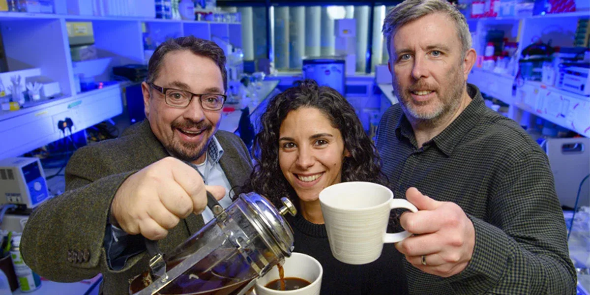 Wissenschaftler enthüllen: Wie Kaffee Gedächtnis, Stimmung und Darmgesundheit beeinflusst