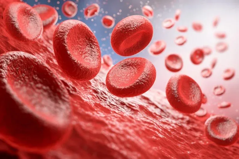 After 50 Years of Mystery, Researchers Identify New Human Blood Group