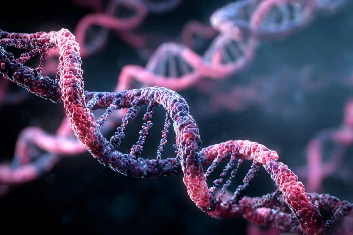 12-Gene Signature and Vulnerable Cells Found in Rett Syndrome