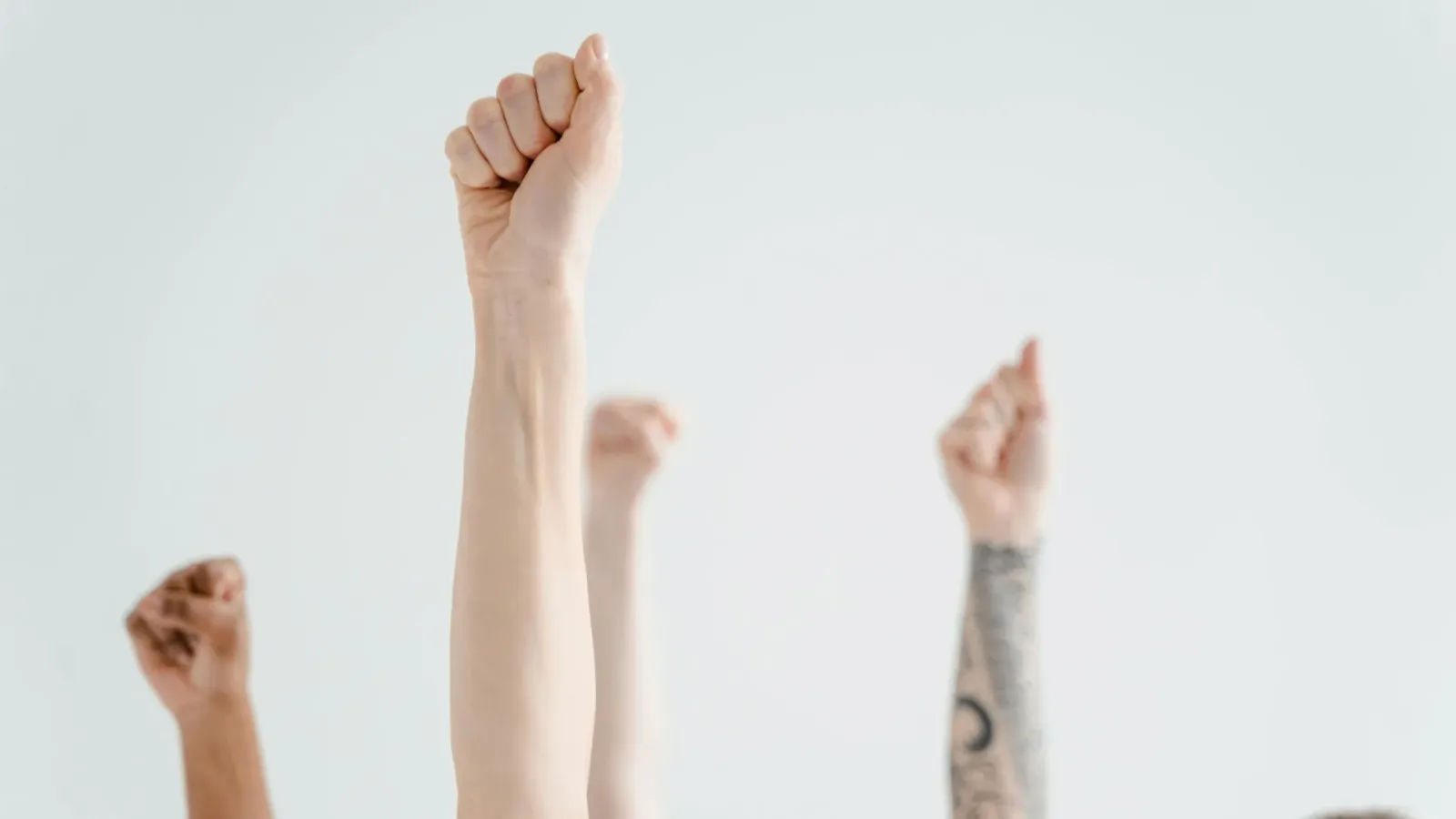 Wissenschaftler lösen das Rätsel: Warum sind Menschen überwiegend rechtshändig?