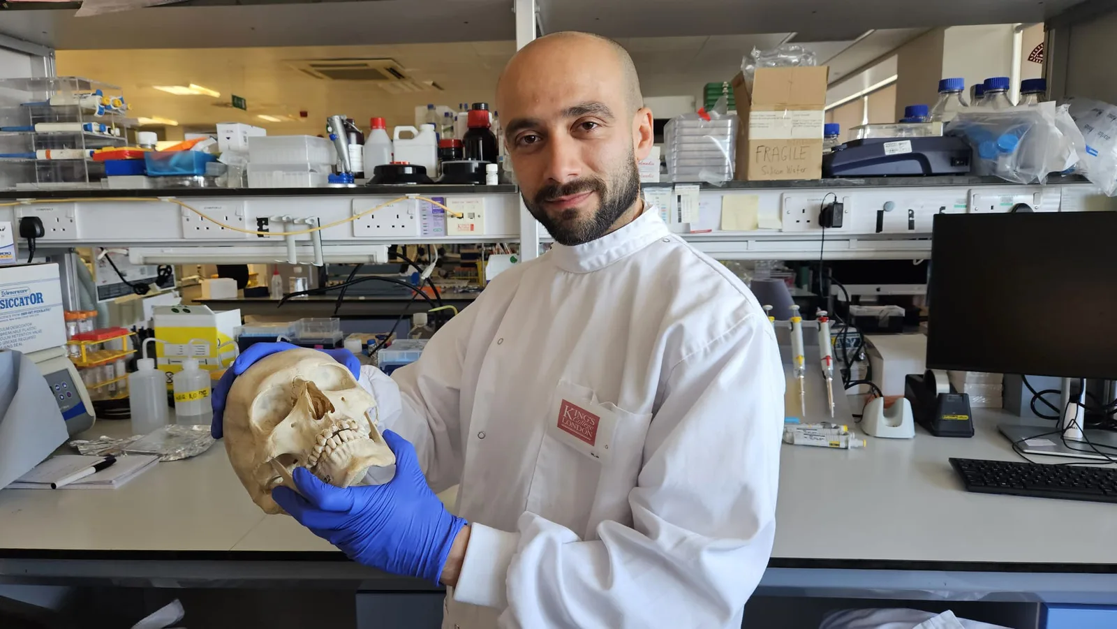 Wolle zu Knochenheilung: Wissenschaftler erzielen medizinischen Durchbruch