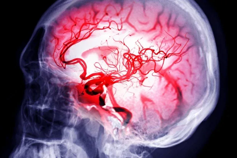 Scientists Discover Testosterone Could Actually Protect Against Deadly Brain Cancer