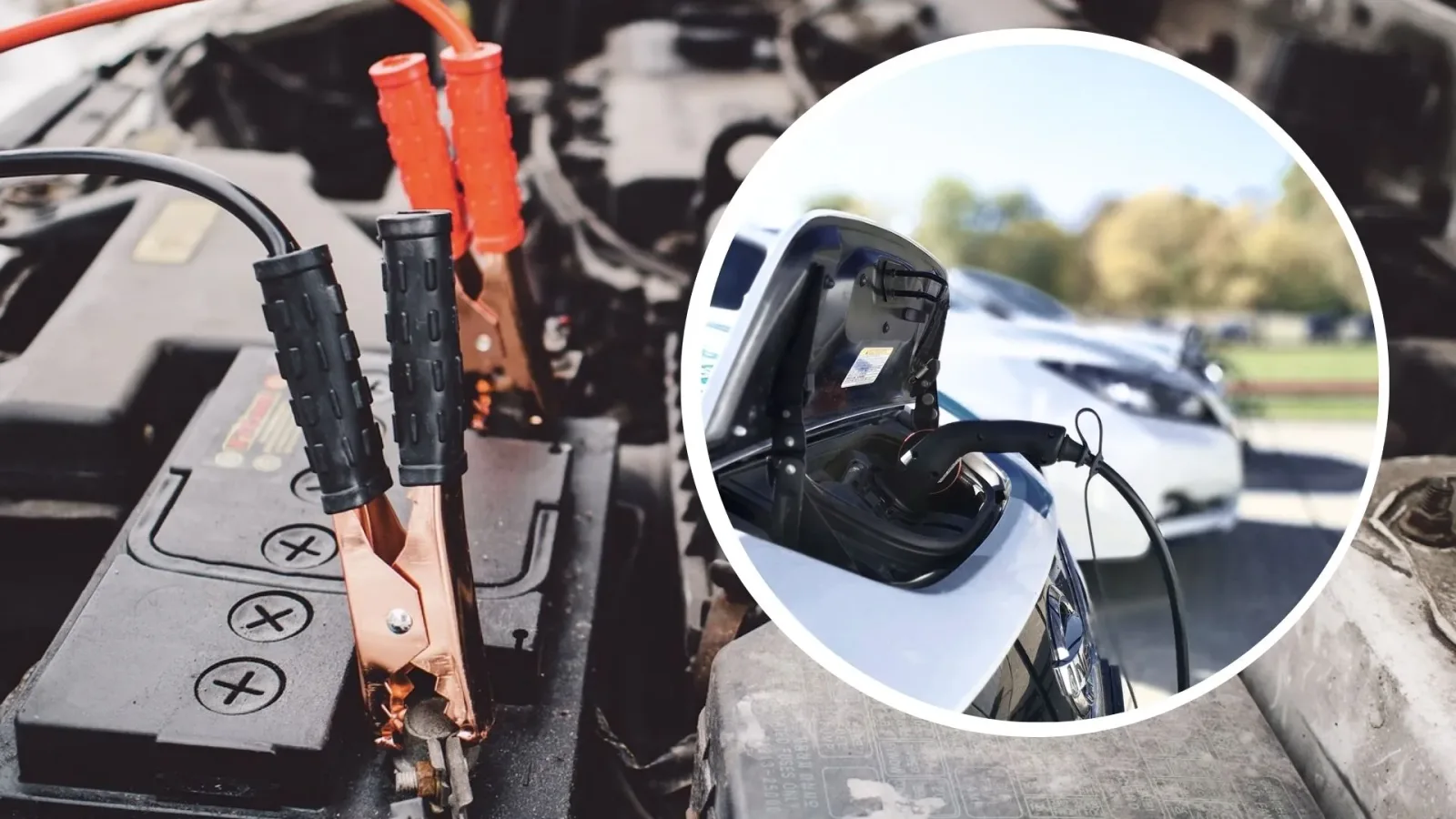 China's sodium batteries could become low-cost rival to Tesla’s batteries