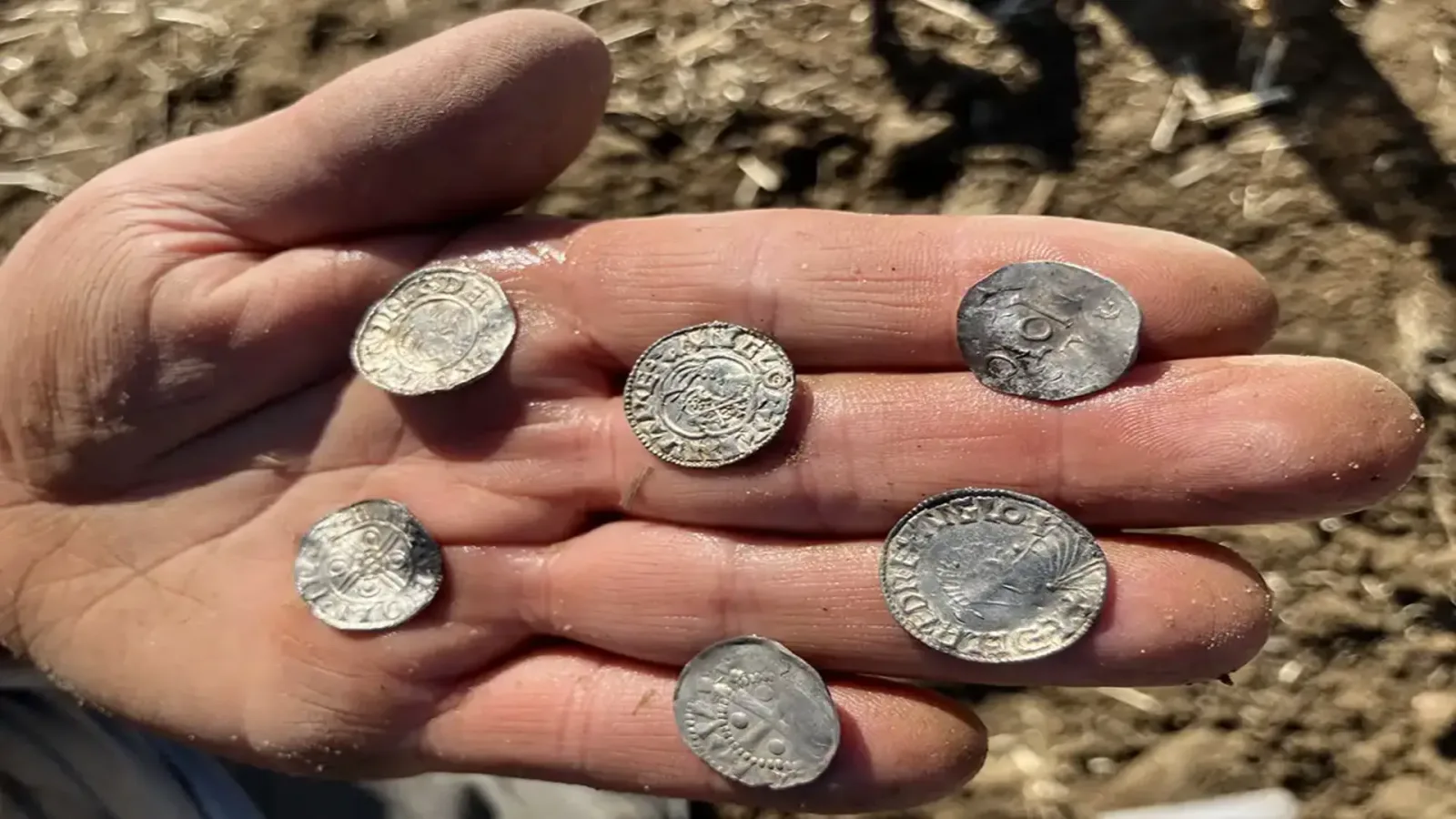 Archäologen entdecken in Norwegen den größten Münzfund aller Zeiten