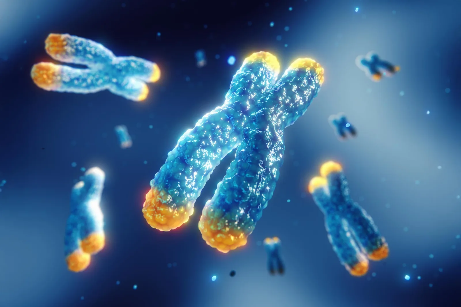 Krebsgeheimnis gelöst: Forscher enthüllen, wie Melanom unsterblich wird
