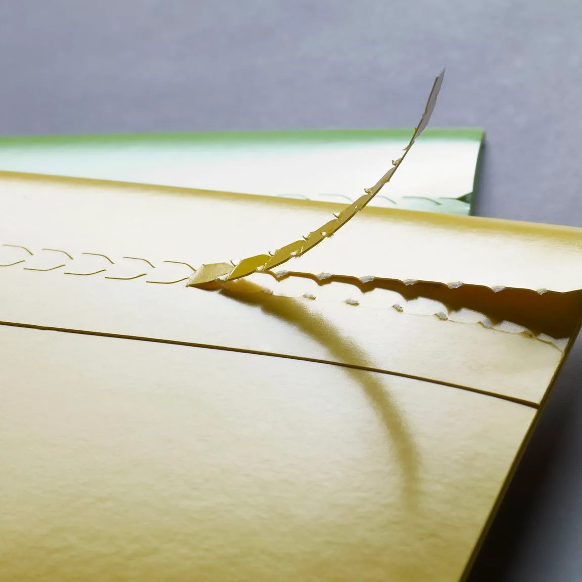 Outlook may have allowed unencrypted connections for decades, report claims — Fedora and Dovecot upgrade reveal protocol downgrade issue present since at least 2007