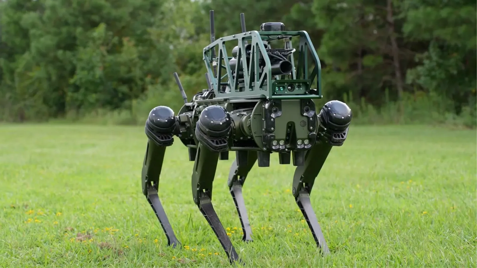 US testet für den Stadtkrieg entwickelte robotergezüchtete Kampfhunde
