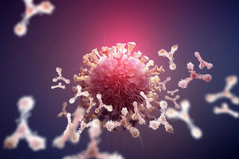 Scientists Uncover Hidden Biological Differences Between Men and Women’s Immune Systems